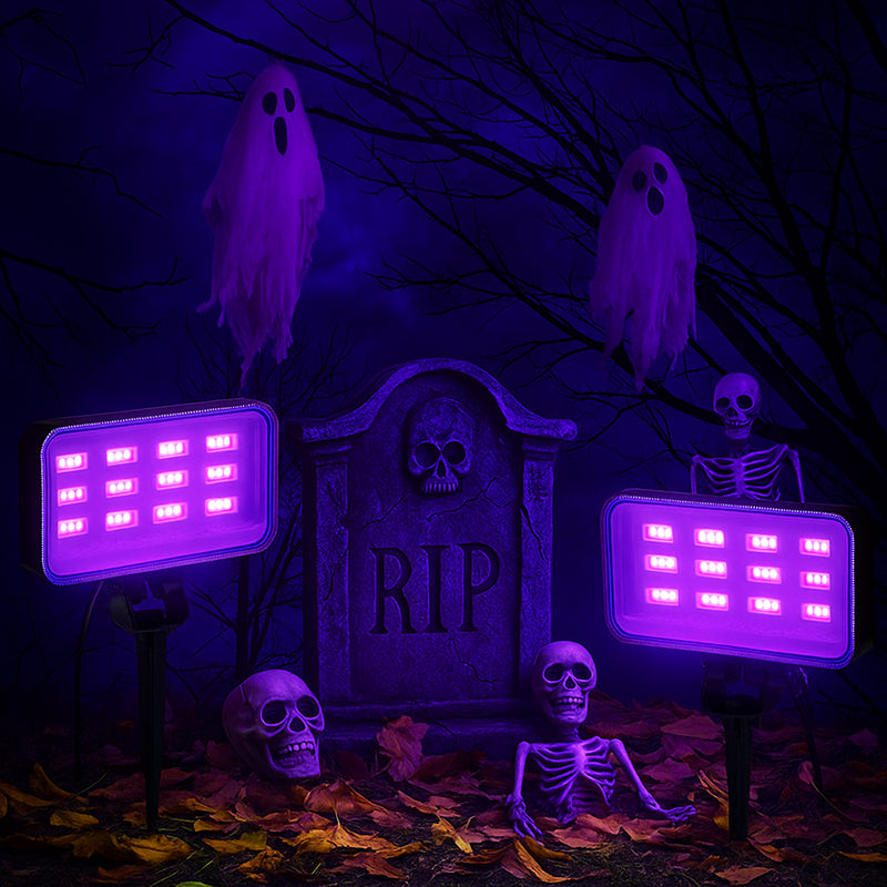 What Are the Most Energy-Efficient Black Light Options?