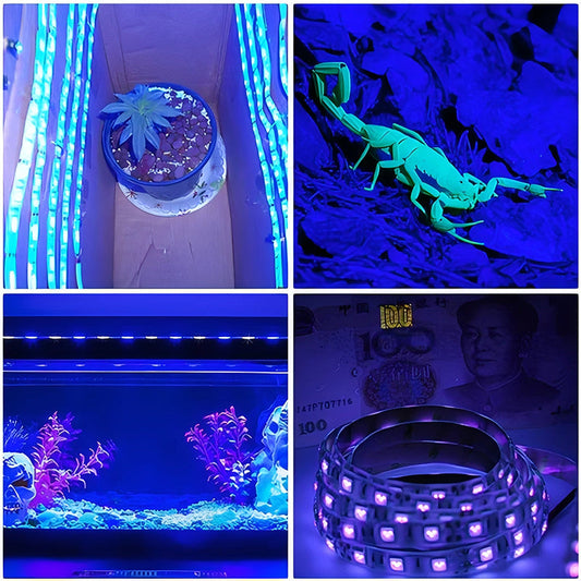 How to Turn Any Room into a Neon Party Zone with UV LED Strips