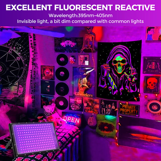 Which Blacklight Products Offer the Strongest Intensity?