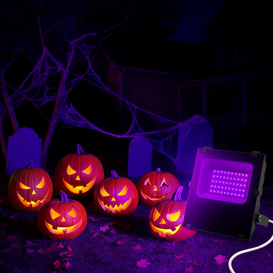 What Wattages Are Available for Black Light Flood Lights?