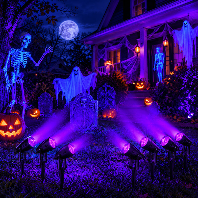 UV Spotlight Safety: What Every Buyer Should Know