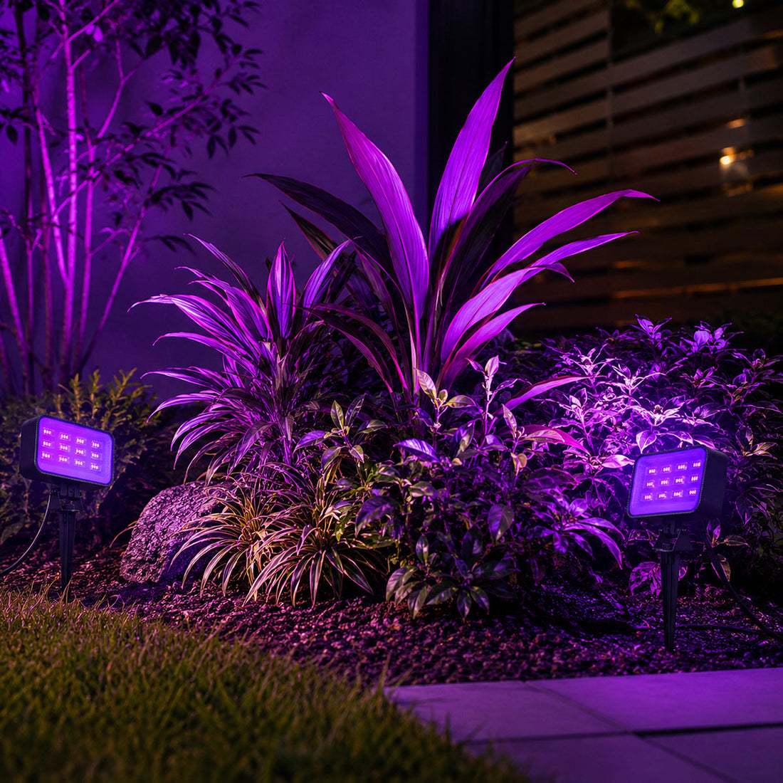 Where Should You Place UV Spotlights?