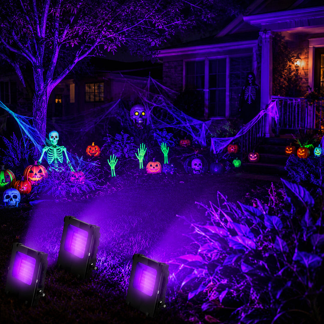 Black Light Flood Lights vs LED Flood Lights: What's the Difference?