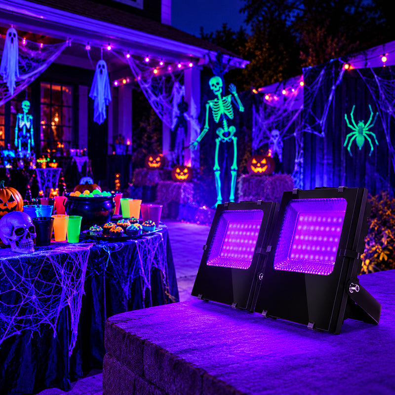 Best Black Light Flood Light for Halloween