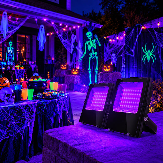 Best Black Light Flood Light for Halloween