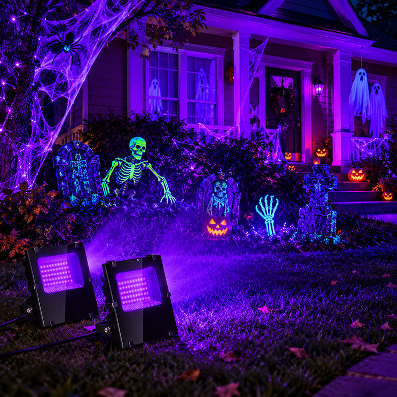 What Glows Under a Blacklight? 36 Cool Things to Try