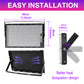 Waygor 200W LED Black Lights for Glow Party - Waygor IP65 Waterproof UV Blacklight Floodlight 395nm Black Light Spotlight Purple Black light Flood Light Fluorescent UV Light Lamp for Halloween Decor (2 Pack)