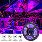 Waygor 65ft LED Black Light Strip Kit, Blacklight Strip Lights 395nm to 405nm UV Black Light LED Strips Flexible 12V Blacklights Non-waterproof Black Lights for Bedroom Glow Party Halloween