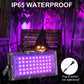 50W LED Black Lights for Glow Party - Waygor IP65 Waterproof UV Blacklight Floodlight Black Light Spotlight Purple Black light Flood Light Fluorescent UV Light Lamp for Halloween Decor (8 Pack)