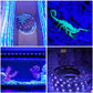 Waygor UV LED Strip Lights - 2 Pack Battery Operated LED Black Light Strip Kit with 6.6FT Ultraviolet IP65 Waterproof Super Bright LED Strip Lights, Battery Case by Waygor