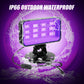 Waygor 30W Black Light Spotlight - High Power LED Outdoor Black Light Spot Light Plug in IP66 Waterproof Blacklight Spotlight 395nm Blacklight Spot Lights for Glow Party, Halloween (2 Pack)
