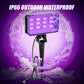 30W Black Light Spotlight Outdoor - Waygor High Power LED Outdoor Black Light Spot Light IP66 Waterproof Blacklight Spotlight 395nm Blacklight Spot Lights with Plug for Glow Party, Halloween (2 Pack)